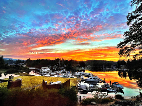 Painted Boat Resort